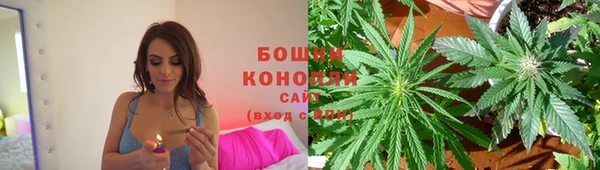 винт Туринск