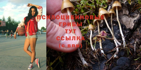 МДПВ Вязники