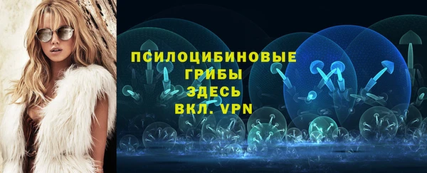 мет Вяземский
