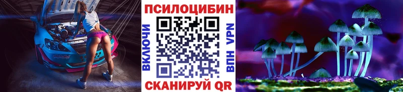 где купить наркоту  Приморско-Ахтарск  Галлюциногенные грибы Cubensis 